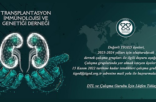 Dernek Çalışma Grupları
